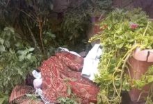 Photo of العثور على توأم حديثي الولادة بحديقة منزل في قلعة السراغنة 