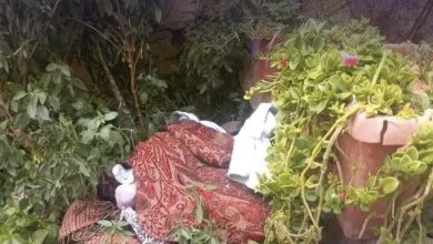 Photo of العثور على توأم حديثي الولادة بحديقة منزل في قلعة السراغنة 