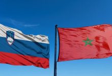 Photo of المغرب وسلوفينيا يجددان التأكيد على إرادتهما تعزيز الشراكة في كافة المجالات ذات الاهتمام المشترك