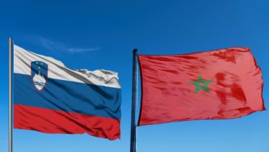 Photo of المغرب وسلوفينيا يجددان التأكيد على إرادتهما تعزيز الشراكة في كافة المجالات ذات الاهتمام المشترك