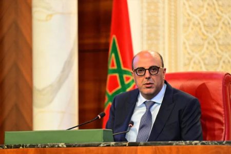 ولد الرشيد: التعاون البرلماني الإفريقي رافعة ديمقراطية أساسية لترسيخ التكامل القاري