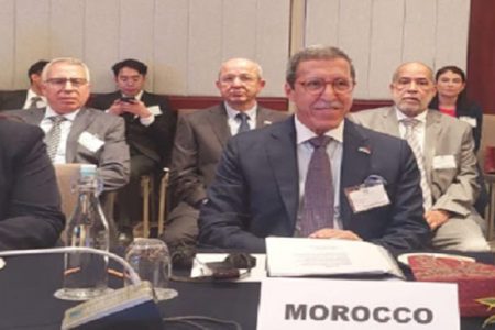 وفد مغربي رفيع المستوى يشارك في المؤتمر الإقليمي للجنة الـ24 للأمم المتحدة في تيمور الشرقية
