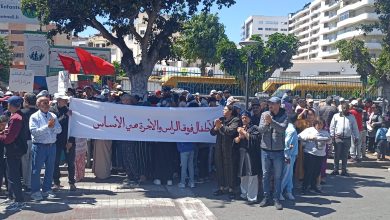 Photo of الرباط تشهد وقفة غضب ضد تعطيل منح تعليمية لأطفال ذوي إعاقة ذهنية