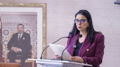 Photo of السغروشني: رؤية الملك محمد السادس ترسخ التعاون الإفريقي على أسس الحكامة والتضامن