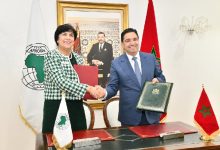 Photo of الرباط تحتضن قلب الرقابة الإفريقية: حين ينتقل مركز القرار من الورق إلى الفعل