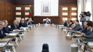 Photo of الحكومة تجدد ضمان الدولة للمركز الوطني للطاقة النووية