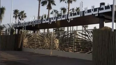 Photo of حديقة الرباط تنبض بالحياة: أكثر من 80 ولادة تعزز الأمل في بقاء الأنواع المهددة