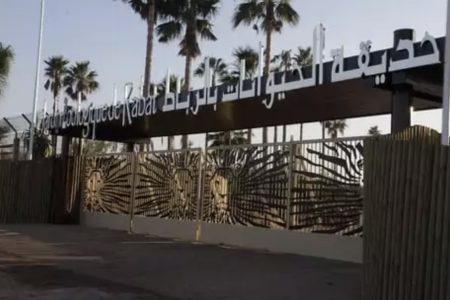 حديقة الرباط تنبض بالحياة: أكثر من 80 ولادة تعزز الأمل في بقاء الأنواع المهددة