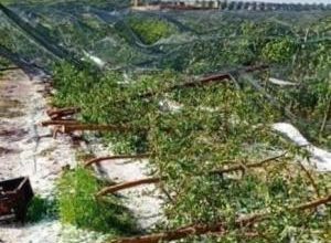 Photo of عاصفة رعدية تدمر محاصيل “الدلاح” وتغرق طرقات زاكورة