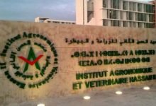 Photo of مجلس الحكومة يعتمد كفاءات جديدة على رأس مؤسسات وطنية