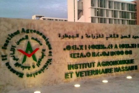 مجلس الحكومة يعتمد كفاءات جديدة على رأس مؤسسات وطنية