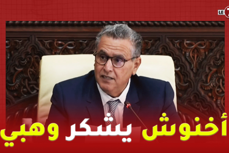 أخنوش يشكر وهبي في المجلس الحكومي على جهوده لإخراج قانون العقوبات البديلة