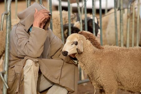 إلغاء عيد الأضحى ينعش السياحة الداخلية في عيد الأضحى