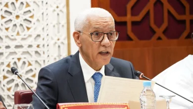 Photo of الطالبي العلمي: تعزيز السيادة الوطنية ركيزة لتحقيق التنمية المستدامة في إفريقيا