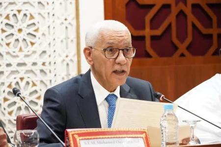 الطالبي العلمي: تعزيز السيادة الوطنية ركيزة لتحقيق التنمية المستدامة في إفريقيا