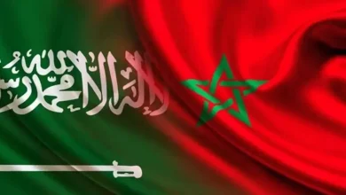Photo of تعزيز التعاون المغربي-السعودي في مجالات النقل واللوجستيك: لقاء رفيع المستوى يفتح آفاق شراكة استراتيجية