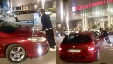 Photo of كلب يقدم على مهاجمة فتاة بطنجة