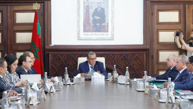 Photo of أخنوش يترأس اجتماع مجلس الرقابة للقرض الفلاحي