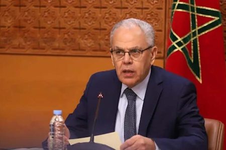عبد اللطيف لوديي يقدم ملامح خطة وطنية لحماية الفضاء الرقمي وتعزيز الأمن السيبراني