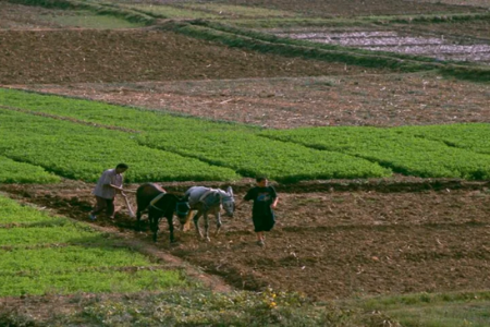 أمطار الأمل تعيد الحياة للسدود… و5.2 مليار متر مكعب تُنعش الموسم الفلاحي