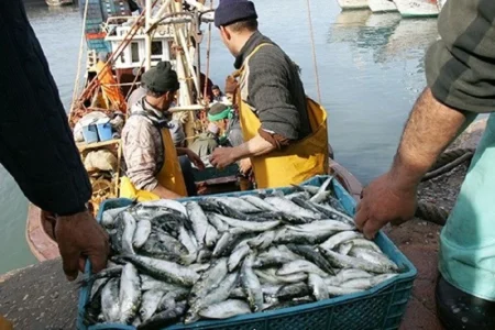من نيس إلى إفريقيا: إشادة فرنسية بالريادة المغربية في بناء اقتصاد أزرق مستدام