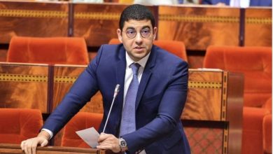 Photo of بنسعيد: المغرب يتعرض لهجمات إعلامية من طرف “خصوم الوطن“
