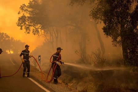 الوكالة الوطنية للمياه والغابات تحذر من خطر اندلاع حرائق غابوية بعدد من مناطق المملكة