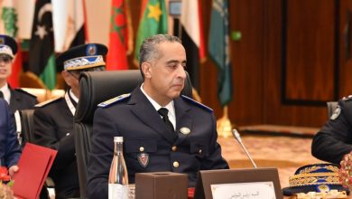 Photo of حموشي : المديرية العامة للأمن الوطني تولي أهمية خاصة لدعم مساعي مجابهة الجرائم الماسة بالثروة الغابوية