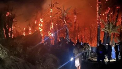 Photo of حريق بواحة “أفرا” بطاطا يتلف 500 نخلة ويصيب 3.4 هكتار