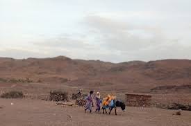 Photo of نقص المياه يثير قلق سكان تاكونيت في زاكورة