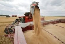 Photo of وفد أمريكي يزور المغرب لتعزيز شراكة القمح وتطوير قطاع الطحن