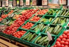 Photo of واردات إسبانيا من الخضر والفواكه المغربية ترتفع بأكثر من 20% في 2025