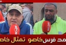 Photo of الجماهير الشبابية … “احمد فرس خاص يتعمل ليه تمثال بالمحمدية “