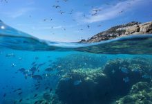 Photo of إشادة دولية بدور المغرب في حماية المحيطات وتوحيد صوت القارة