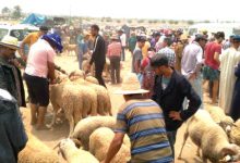 Photo of قصبة تادلة تواصل منع إدخال المواشي للأسواق الأسبوعية بعد عيد الأضحى
