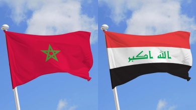 Photo of المغرب والعراق يعززان شراكتهما في مجالات التشغيل والإدماج الاقتصادي