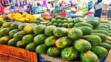 Photo of ” أونسا” تدخل على خط حالات التسمم المتكررة في الدلاح