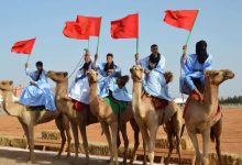 Photo of كلميم… انطلاق الدورة ال12 لمهرجان “أسبوع الجمل “